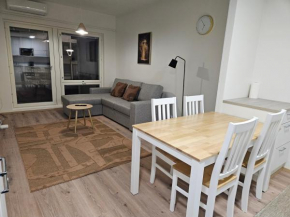 Viola apartments city center Rovaniemi